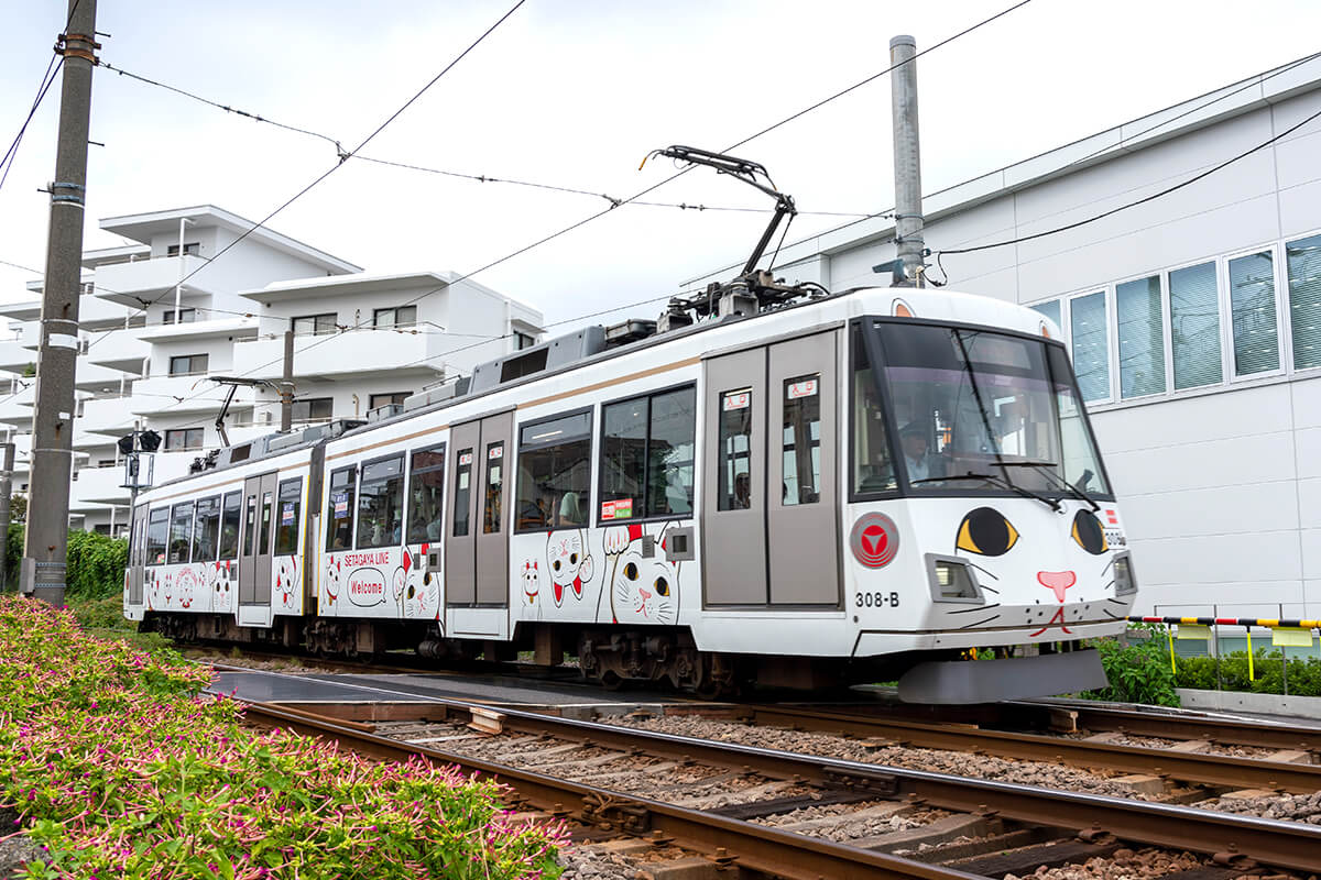 Kofuku-no-Manekineko Densha｜Setagaya Line 50th Anniversary 